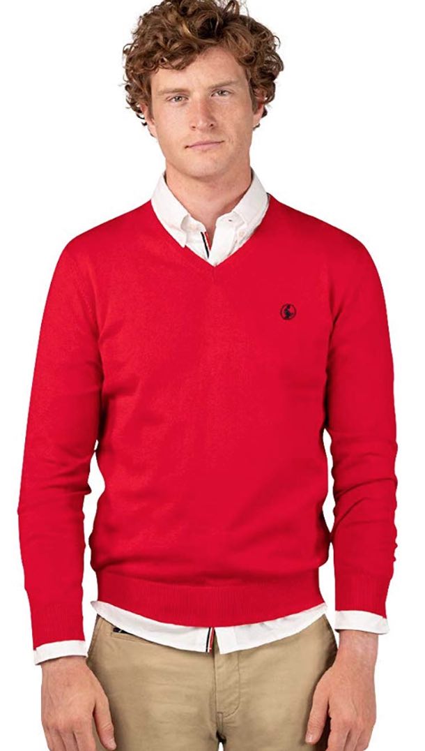 Jersey el ganso estilo inglés